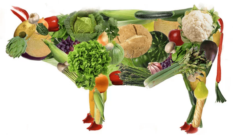 ¿Quieres optar por una dieta vegana? ¡Sigue estos pasos!